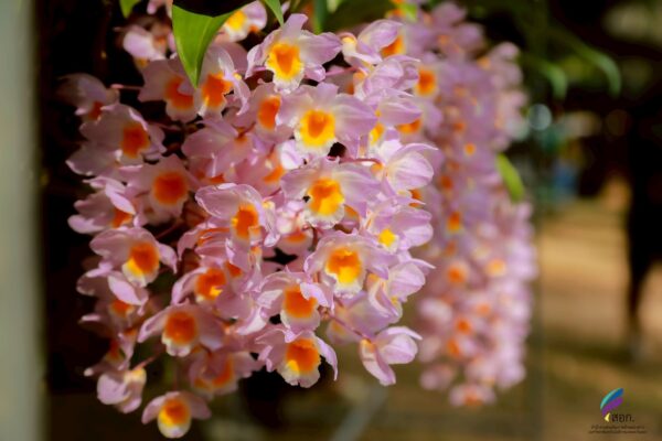 633855791_1421238856454573_8697201842255896840_n