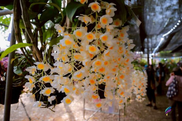 634038139_1421239856454473_4828542972591965751_n